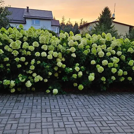 Lejlighed Na Gryfa 8