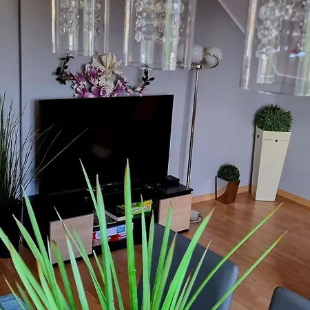 Na Gryfa 8 * Stężyca