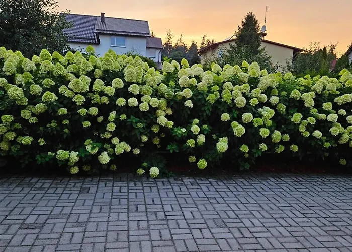 Apartamento Na Gryfa 8