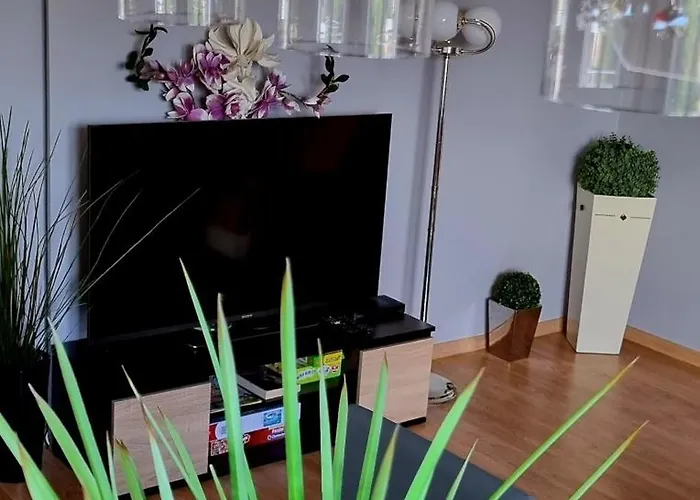 Na Gryfa 8 * Stężyca